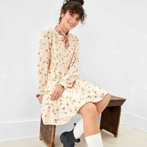 AMERICAN EAGLE OUTFITTERS Long Sleeve Smocked Floral Babydoll Dress‎ in Ivory